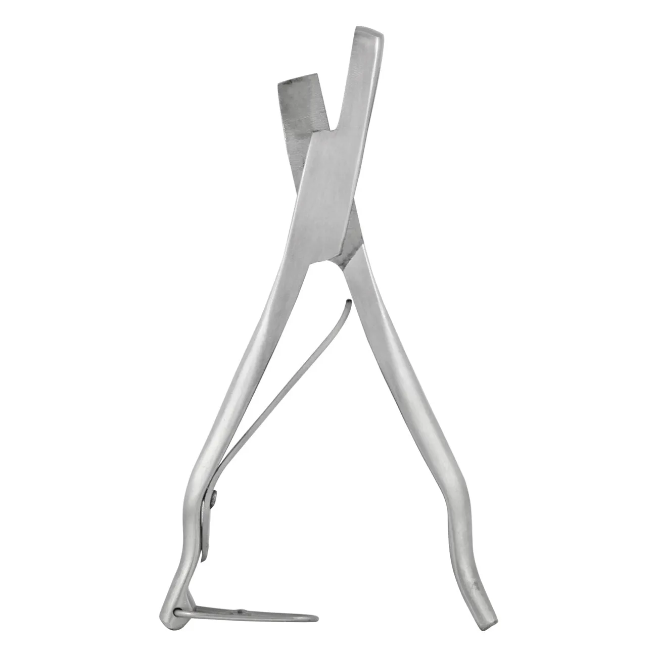 Cattle Boss Ear notcher V-type stainless medium 1/2"