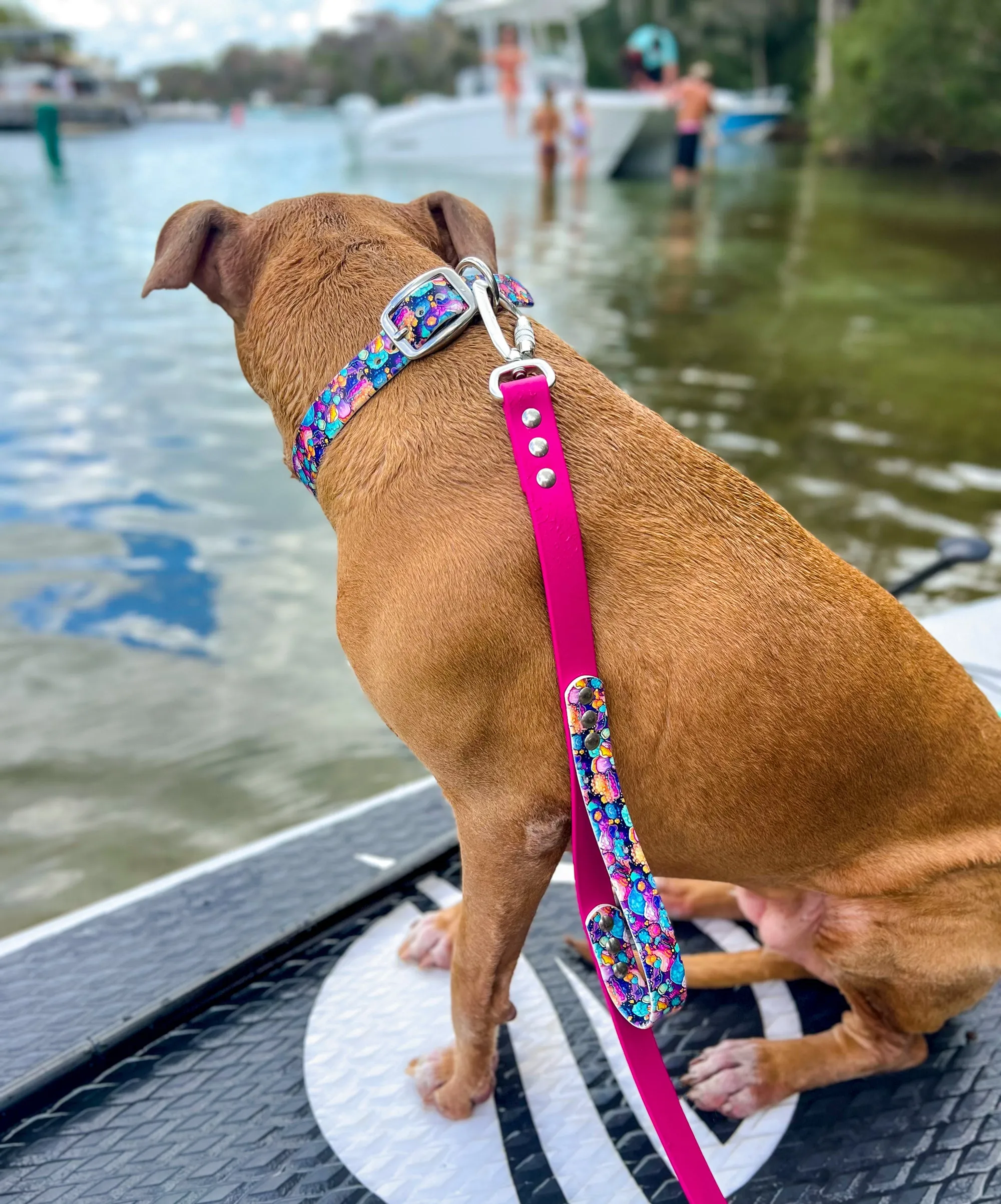 Geode BioThane® Leash