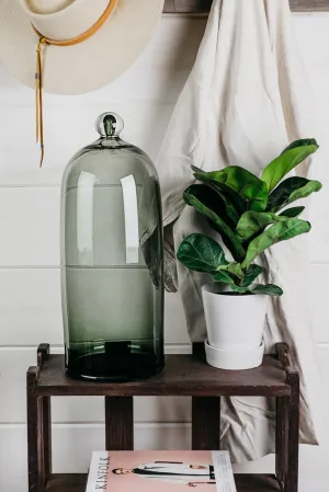 Hand Blown Glass Bell Jar