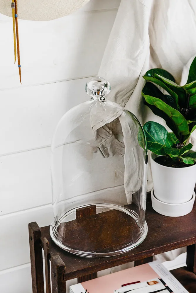 Handblown Glass Bell Jars