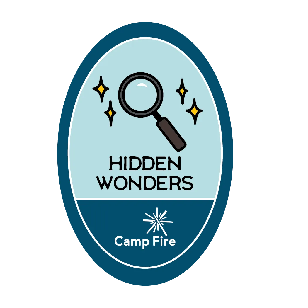 Hidden Wonders