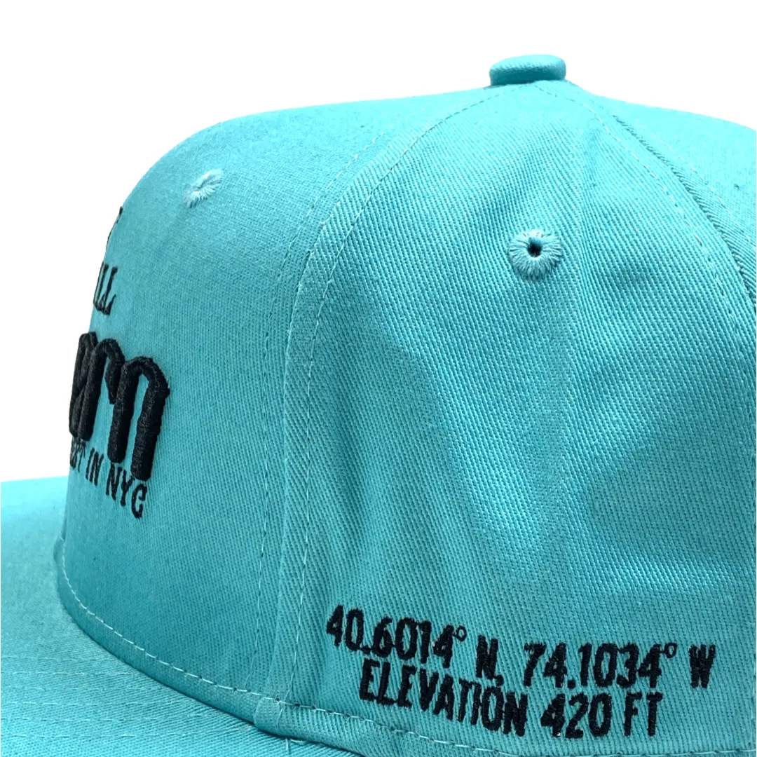 Highest In NYC - Teal Snapback