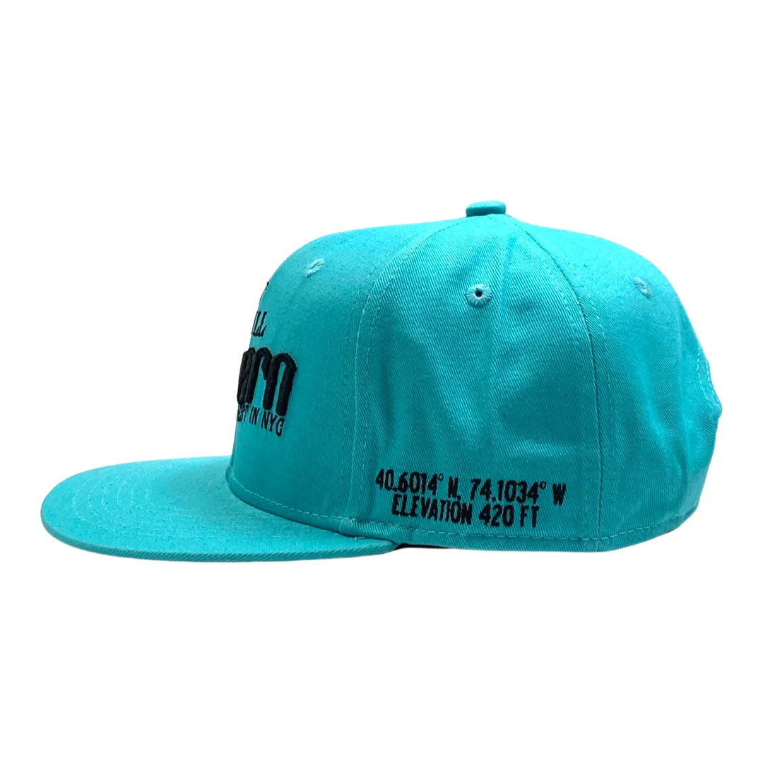 Highest In NYC - Teal Snapback