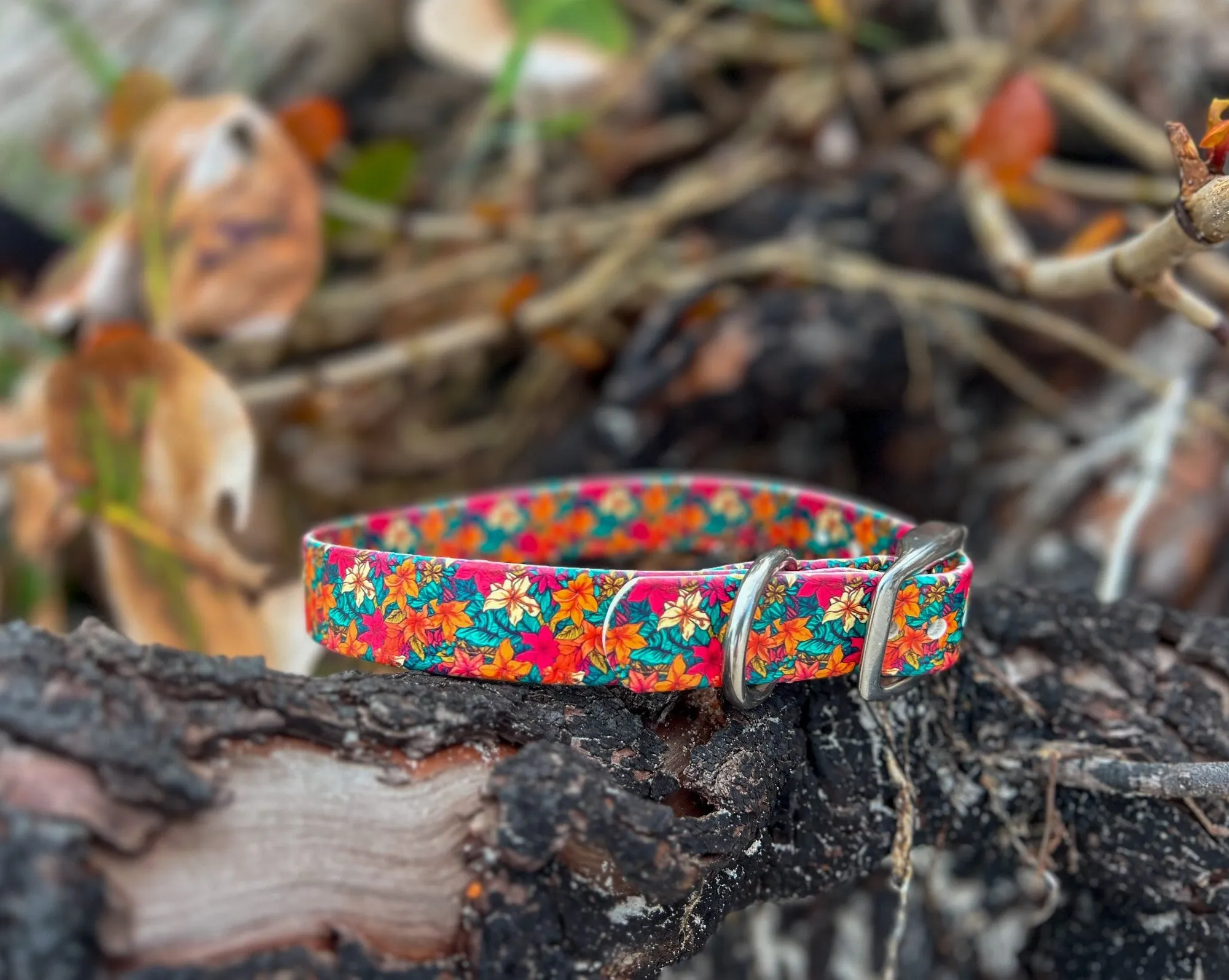 Leilani BioThane® Collar