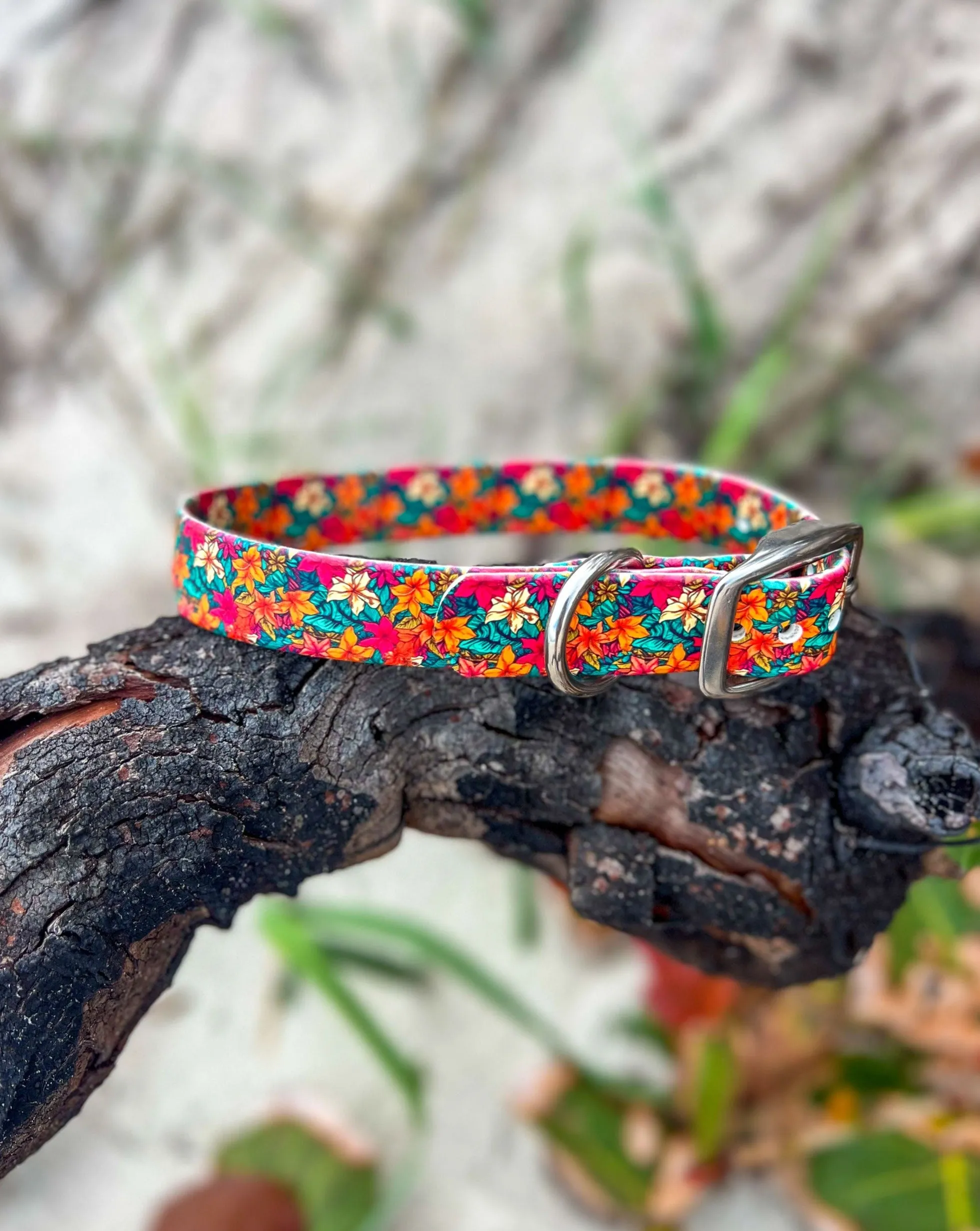 Leilani BioThane® Collar