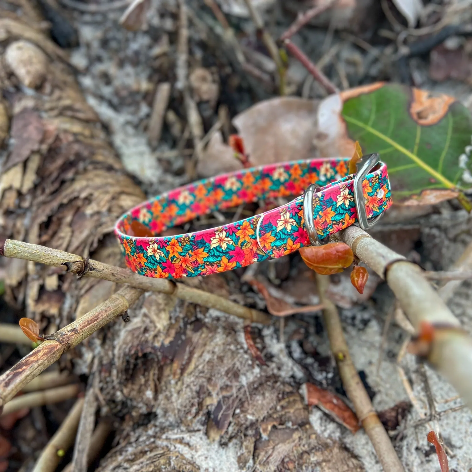 Leilani BioThane® Collar