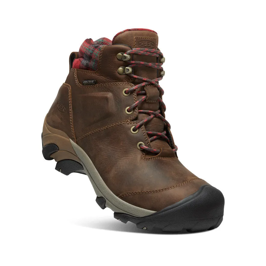 Men's Targhee II Winter Waterproof Boot