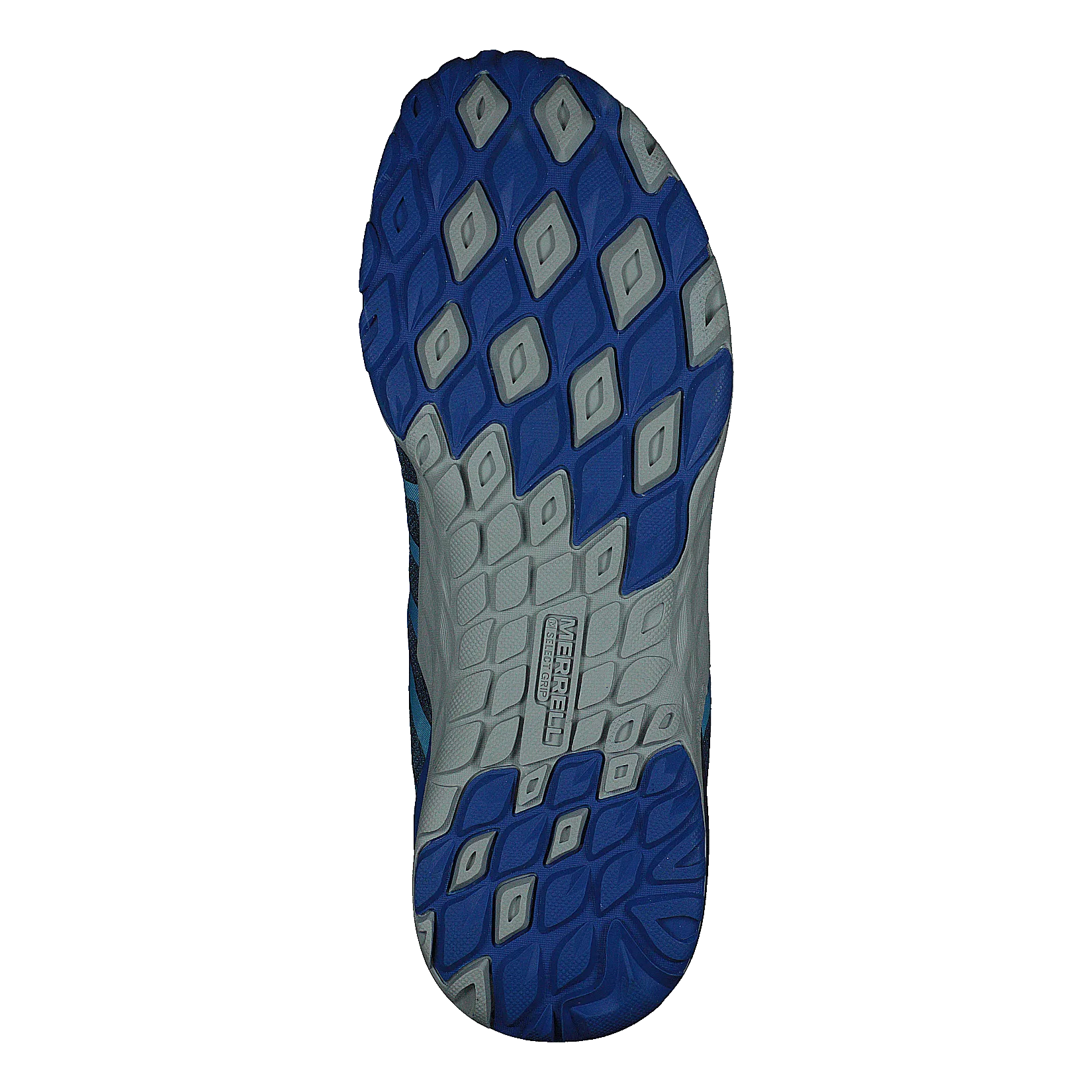 Siren Edge Q2 Cobalt