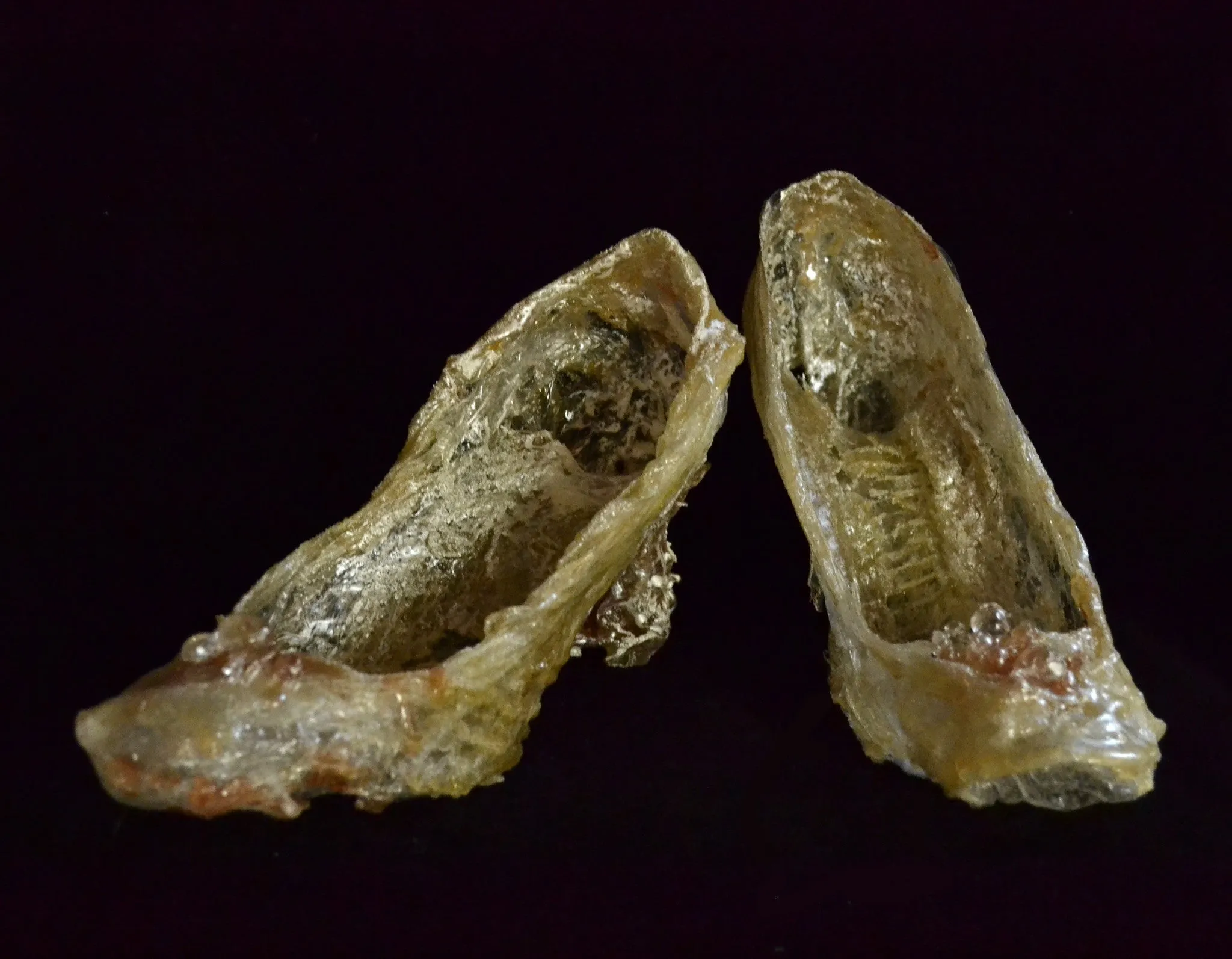 Snake Shed Shoes SOLD