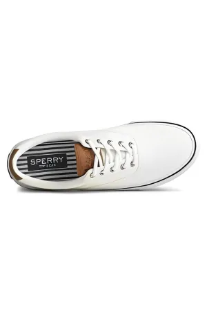 Sperry