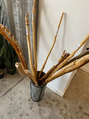 Walking Sticks