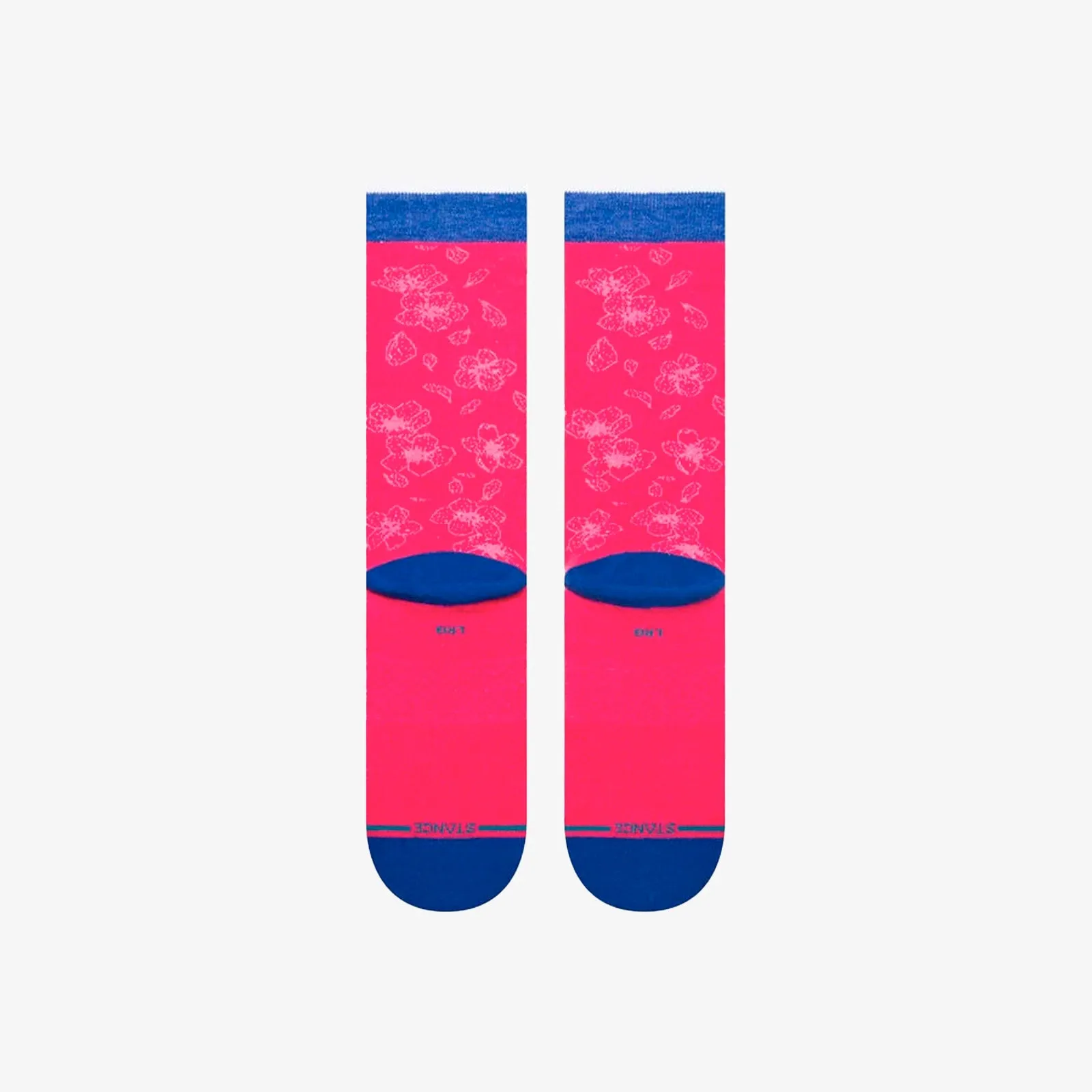 Washington Wizards 2023 City Edition Socks