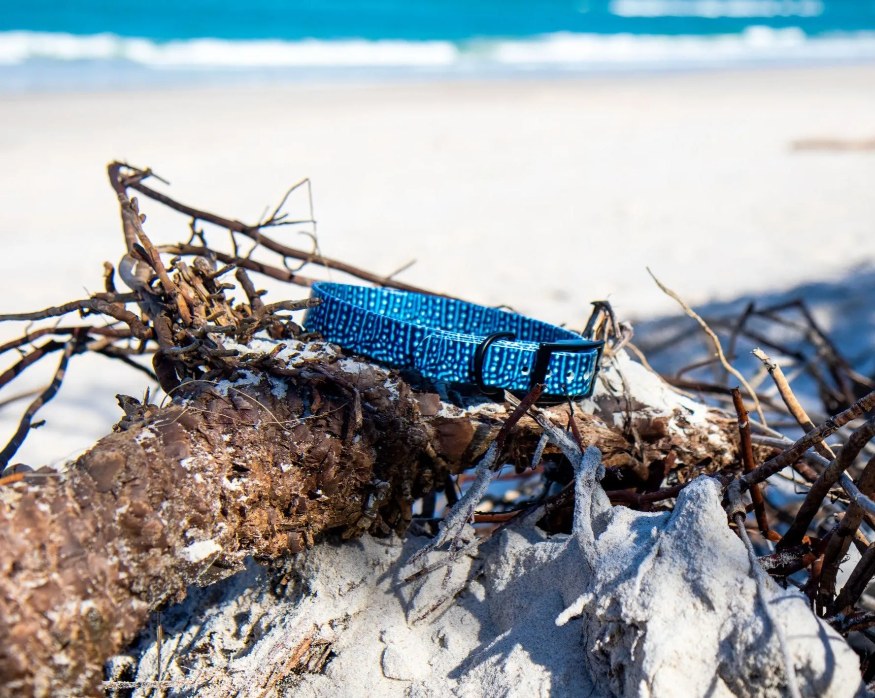 Whale Shark BioThane® Collar
