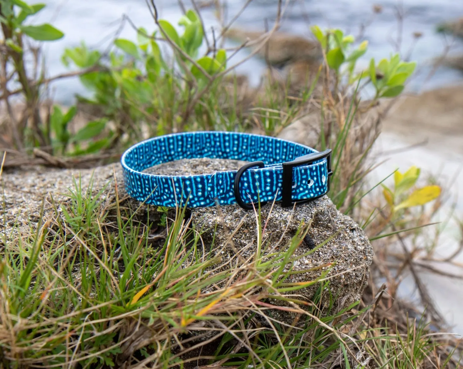 Whale Shark BioThane® Collar