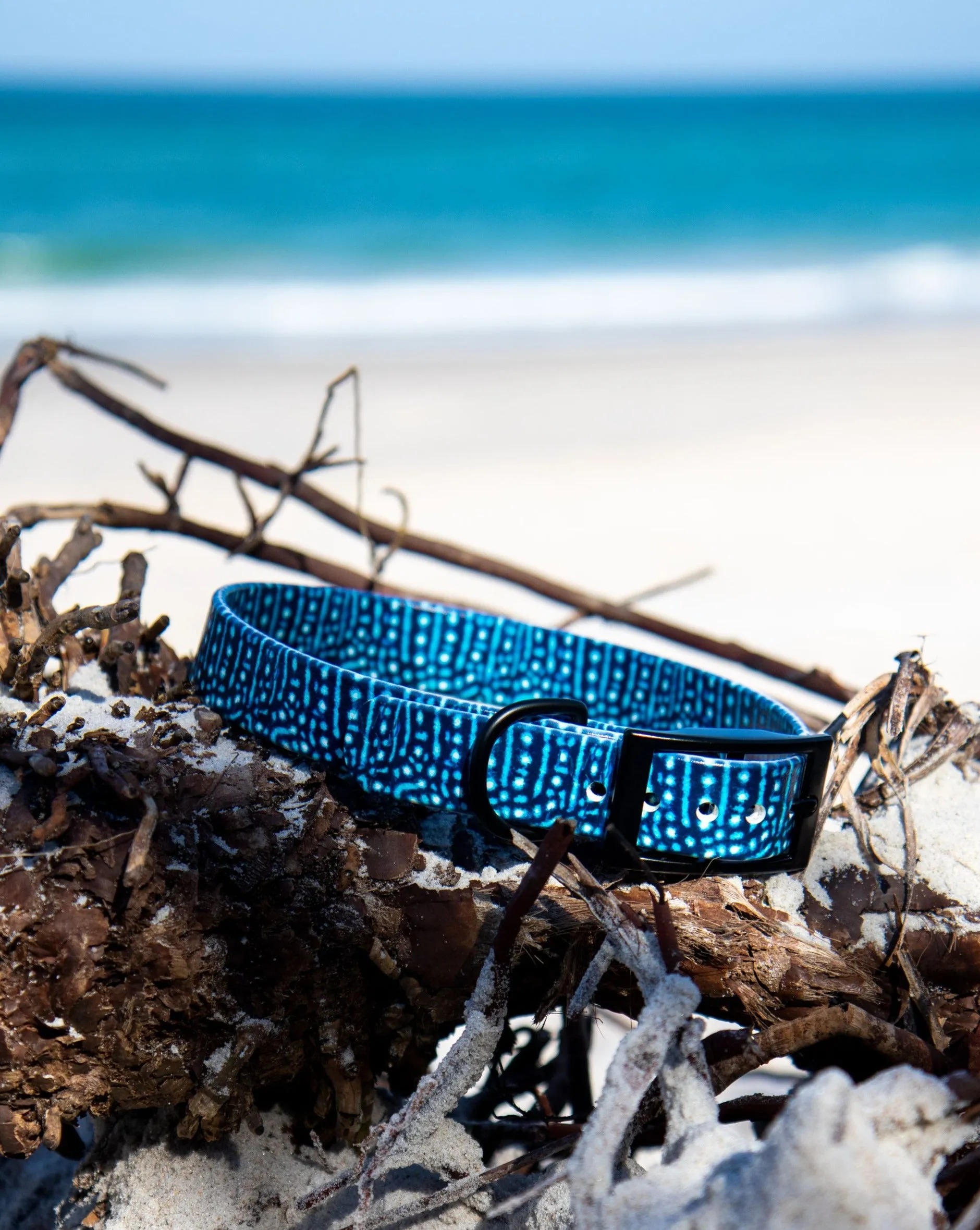 Whale Shark BioThane® Collar