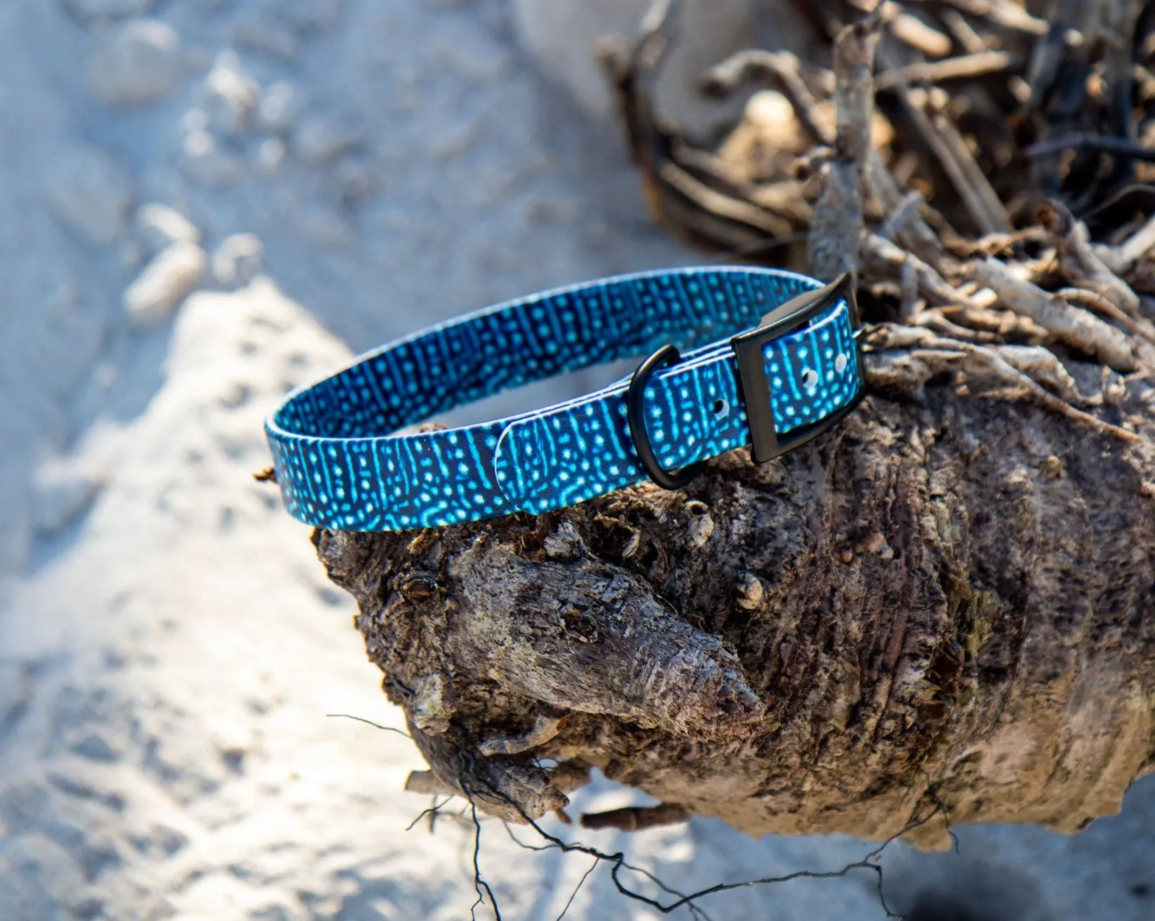 Whale Shark BioThane® Collar