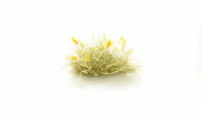 Yellow Seeding Tufts