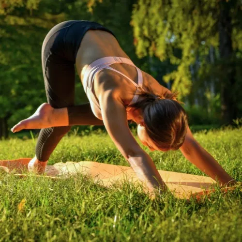 Yoga and the Bees